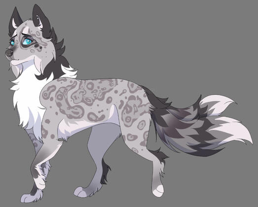 Spirit Sketch